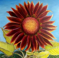 Evening Sun Sunflower, No. 2 by American Nature Painter Judith Saylor Allison