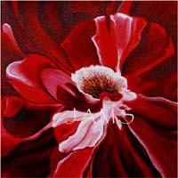 Fourth of July Rose, a Painting by American Nature Painter, Judith A. Maddox Saylor.