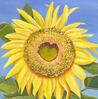 Monmouth Russian Sunflower, by American Nature Painter Judith Saylor Allison