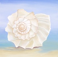 Sea Shell Series No. 8, a painting by American Nature Painter, Judith A. Maddox Saylor at JAMS Artworks.