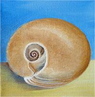 Sea Shell Series No. 6, a painting by American Nature Painter, Judith A. Maddox Saylor at JAMS Artworks.