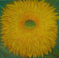 Teddybear Sunflower, No. 2, by Judith Saylor Allison, American Nature Painter