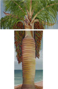 Buccaneer Palm Tree, by JAM Saylor, an American Nature Painter